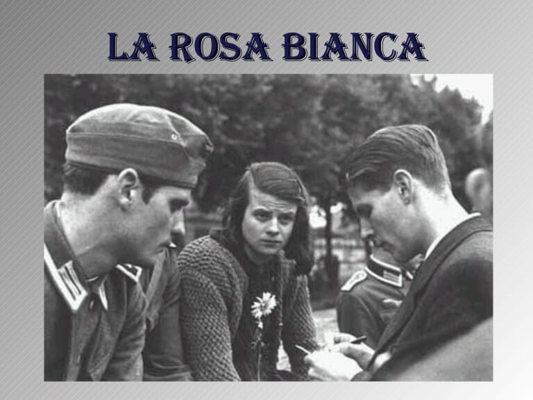 I volantini della “Rosa Bianca”