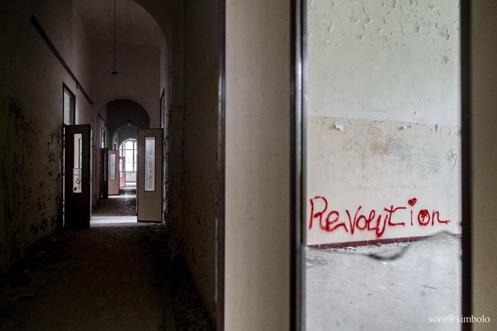 Il romanzo di un giovane pazzo