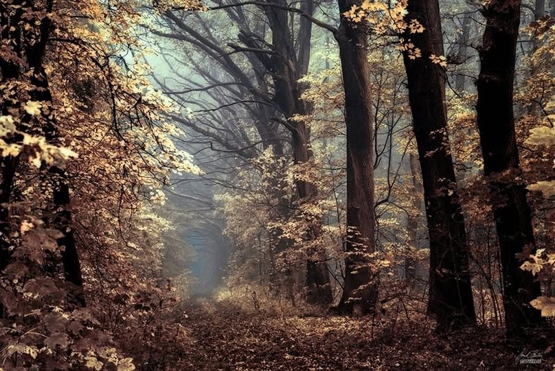 Autunno