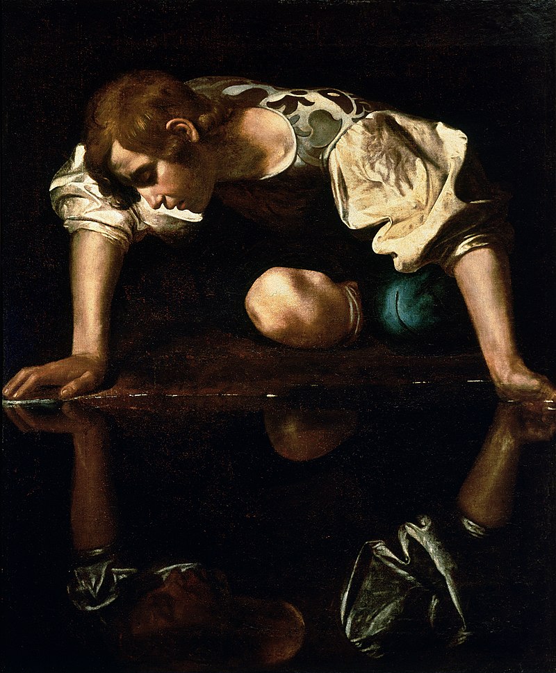 Narciso e narcisisti