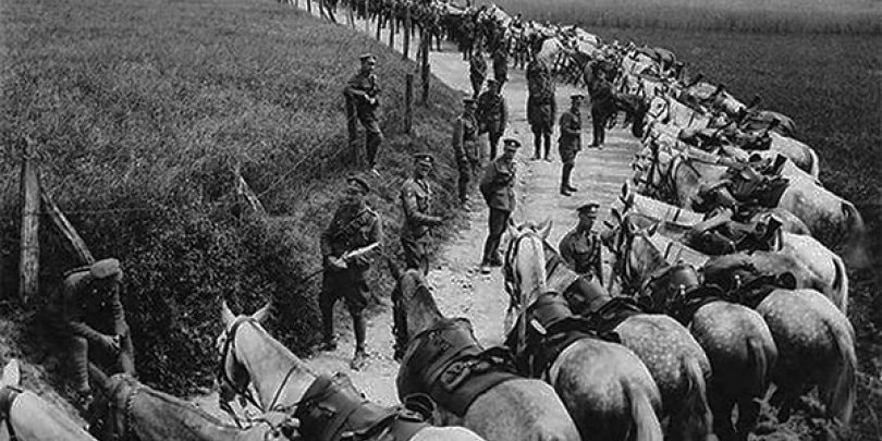 Gli animali alla guerra
