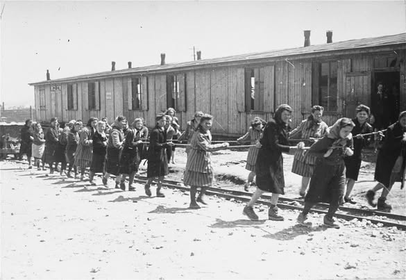 Etty Hellisum: Lettera da Westerbork