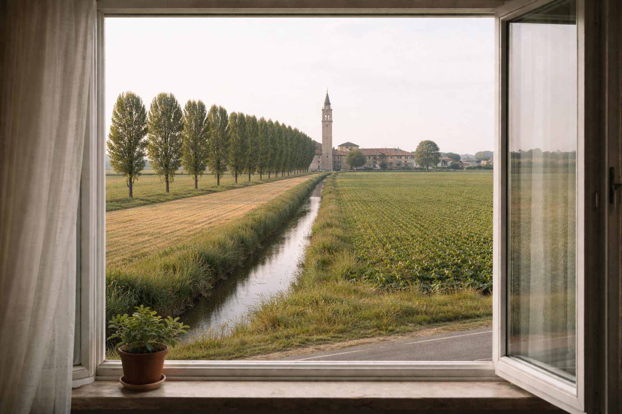 Le ombre bianche